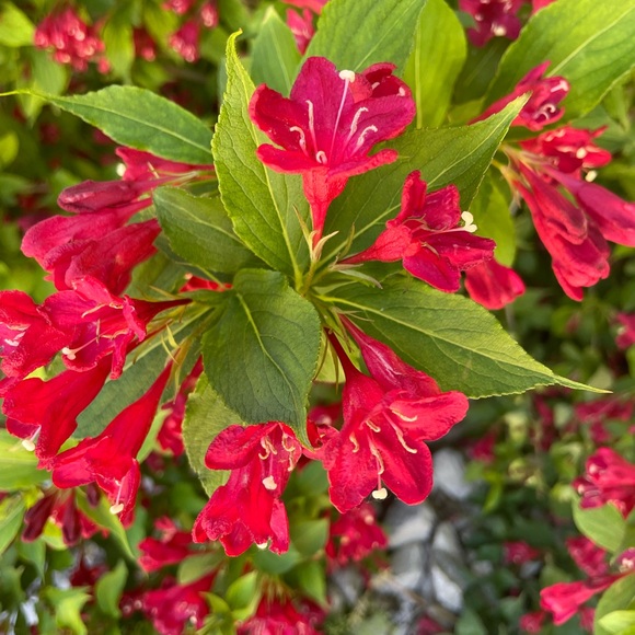 EXPRESSING ONESELF THROUGH FASHUN - Picture 3 of 8